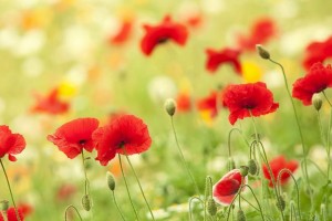 彩吧论坛首页17年2月6日福彩三地开奖号码是多少